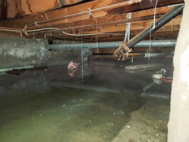 Best Water damage cleanup near me  in Akron, IA
