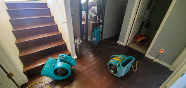Best Water damage restoration company  in Akron, IA
