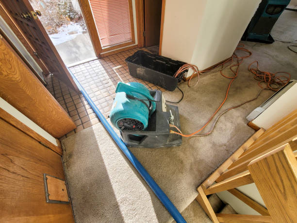 Best Water damage contractors near me  in Akron, IA