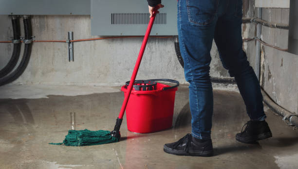 Best Mold removal after water damage  in Akron, IA