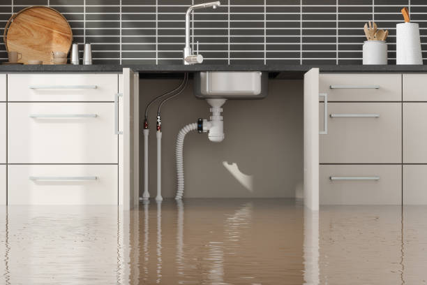 Best Carpet water damage restoration  in Akron, IA