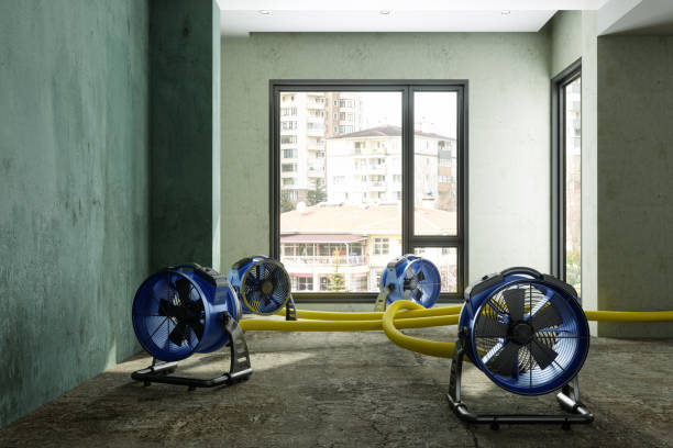 Best Emergency water damage restoration  in Akron, IA